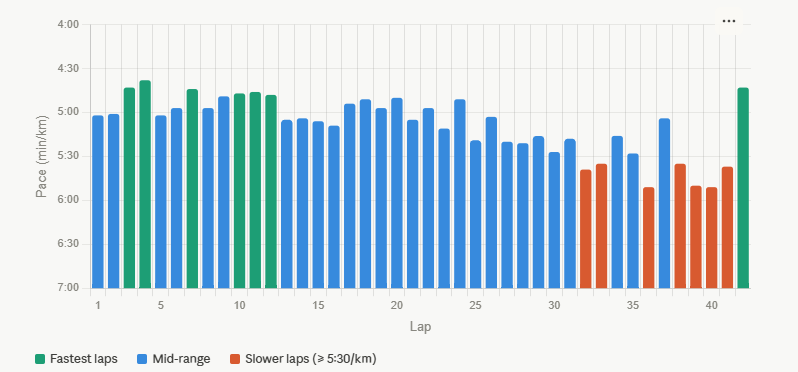 My Sydney Marathon splits. Note the late race droop.
